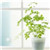 宋宇翔